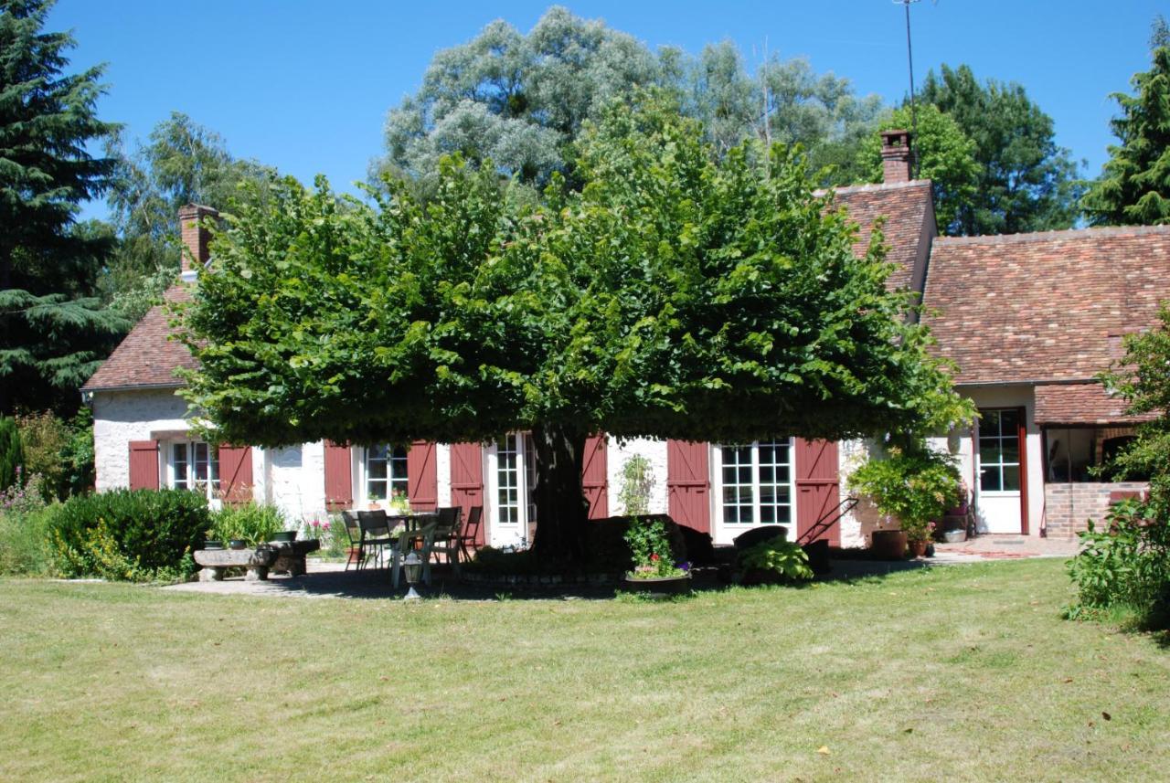 La Petite Marguerite Bed & Breakfast Chitenay Exterior photo