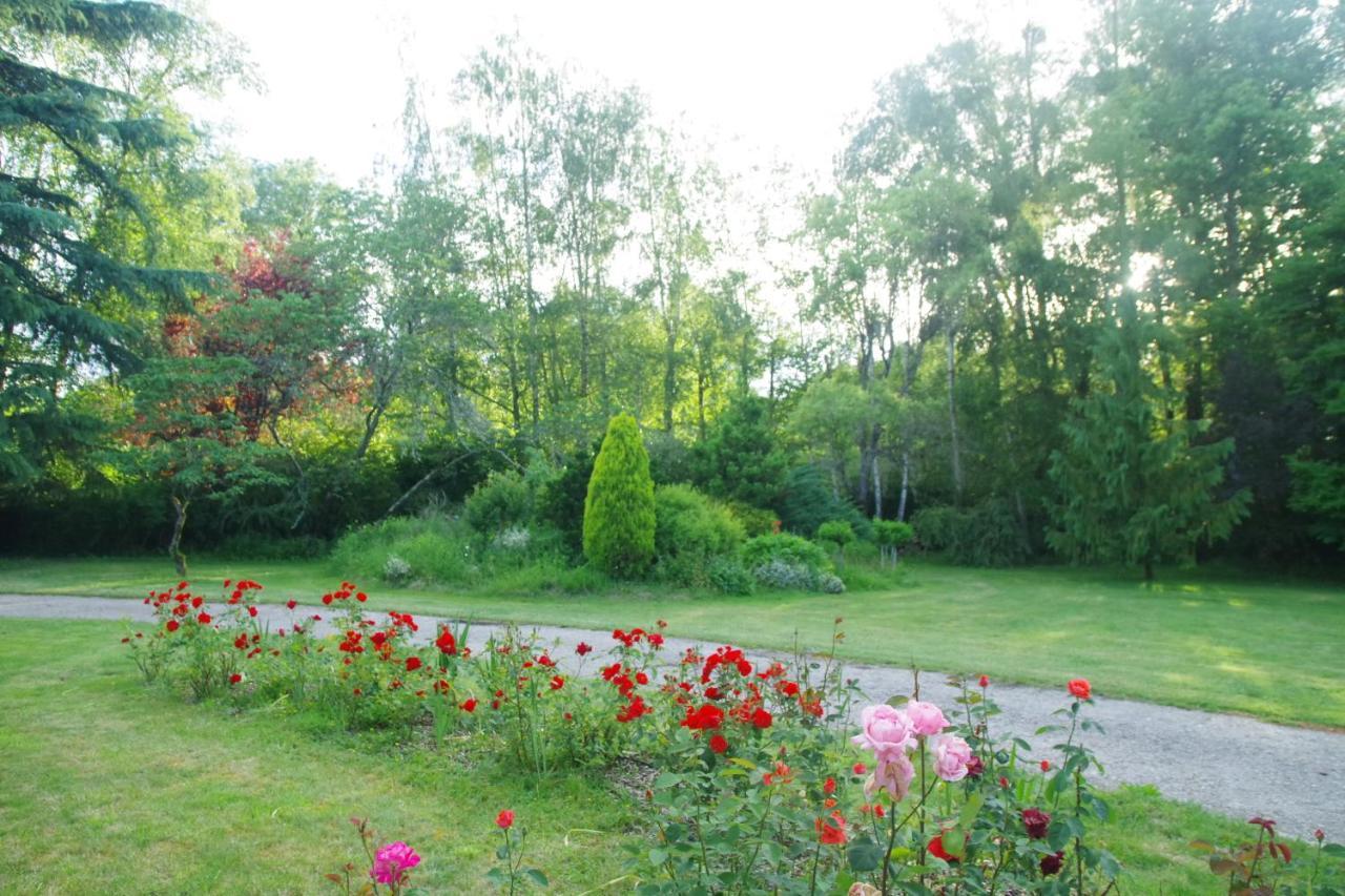 La Petite Marguerite Bed & Breakfast Chitenay Exterior photo